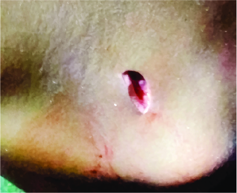 Image of  মো: সাব্বির হাসান